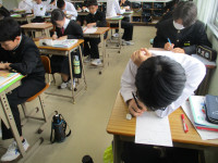 IMG_0491