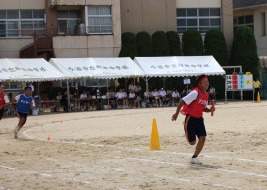 IMG_8226